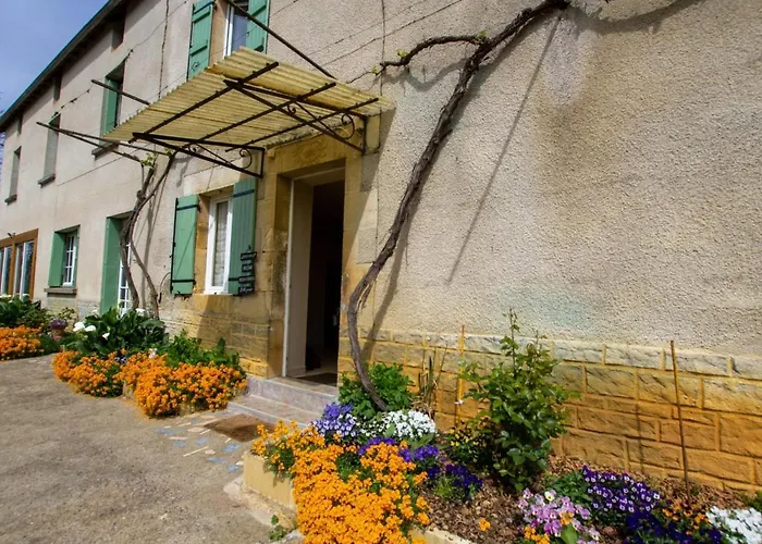 Rural Avec Spa, Animaux Acceptes Et Parking - Fr-1-616-246 *